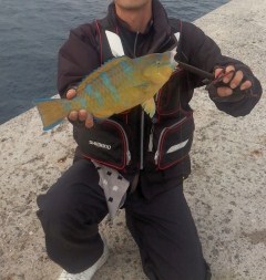2011 October　先勝(^^♪