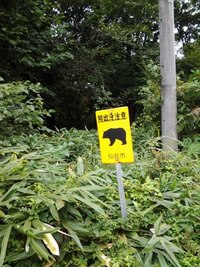 熊さんに出会い…たくはないw