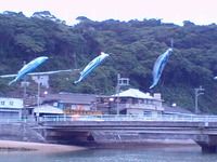 鯉？？？ 2010/05/06 12:10:01