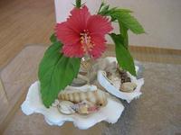 癒し♪ 2007/06/15 17:26:10