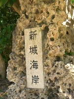 ☆新城海岸・宮古島（4月20日）