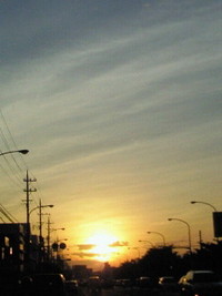 ☆11月11日♪ 2010/11/11 22:39:28