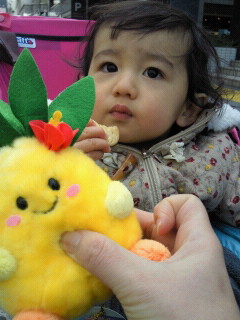 ☆姪っ子ちゃん♪