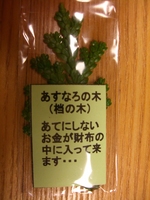 ☆あすなろの木☆