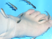 ☆電流走った・・・