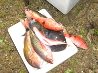 ☆沖釣り