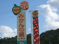☆みかん狩り