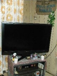 ☆ついに我が家にも♪ 2010/12/20 23:02:00