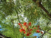 ☆停止→スタート♪ 2010/09/09 21:47:50