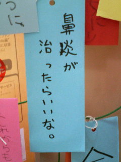 沖縄の短冊をのぞいてみる！