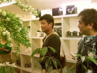あれれぇぇぇぇ？？？？ 2008/03/30 18:01:33