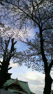 だがそれがいい 2010/04/01 16:58:48