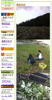 島菜の農園研修