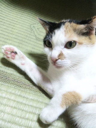 夏が終わる頃に思い出してみよう
