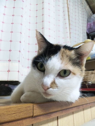 夏が終わる頃に思い出してみよう