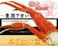本ズワイ蟹【特大3Lサイズ・1Kg】2,980円♪【72％OFF!】 2010/12/30 18:44:36