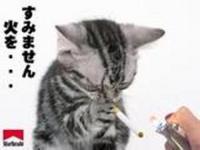 一服 2007/12/31 02:24:55