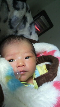 あたまいたい 2012/01/18 19:51:17