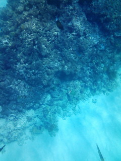 バスクリンの海