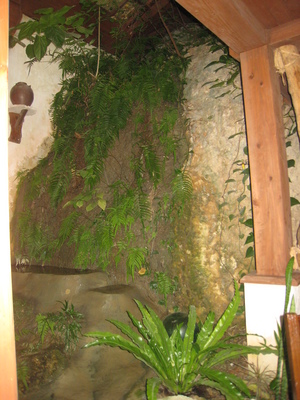 山の茶屋　楽水