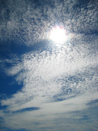 梅雨明けのOKINAWAさいこぉ～っ♪ 2008/06/21 17:33:19