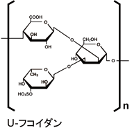 糖鎖って何？