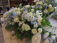 爽やか♪ 2011/08/10 23:08:34