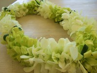 本日もさわやか・・・♪ 2011/08/30 19:37:19