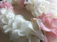 今日は・・・♪ 2011/10/09 11:55:39