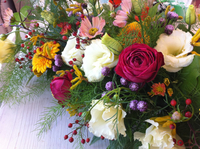 秋ですね～♪ 2011/10/26 14:18:11