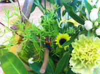 こっそり・・・♪ 2011/08/22 15:06:30