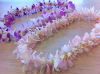 シンプルだけど・・・♪ 2011/09/27 14:40:33