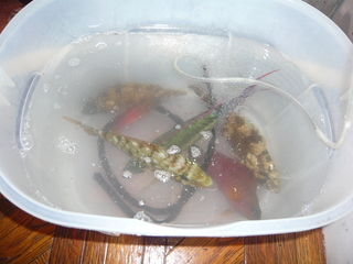 簡易水槽