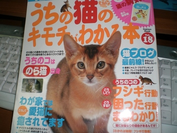 猫の気持ち