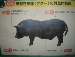 あぐ～～って？！