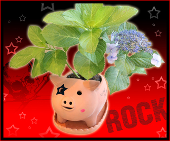 ロックだぜ！