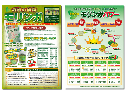 奇跡の植物　モリンガ