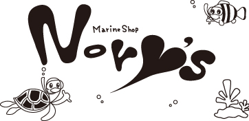 海に行こうよ！