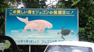 まるで人魚のような・・・（ｶﾇﾁｬの想い出）