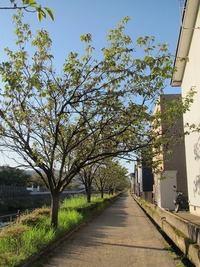腰痛、静こころなく。 2012/10/08 15:34:48