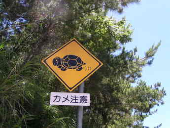 公式標識シリーズその１ 沖縄が好きプラス