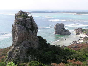 陸ギタラ