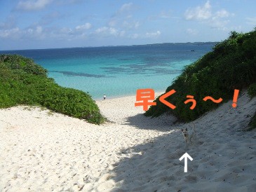 お天気♪