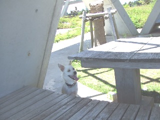 ビバっ！暇っ！＾＾