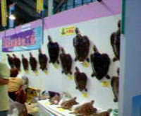 行ってきました。離島フェア 2006/12/05 10:00:00