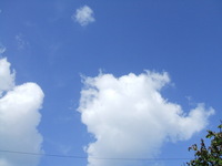 11月？ 2006/11/23 21:12:39