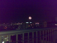 花火＠那覇ハーリー 2007/05/04 01:18:53