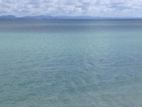夏… 2013/07/25 10:54:00