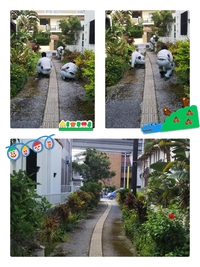 ボランティア清掃(*^_^*) 2018/06/27 11:55:19