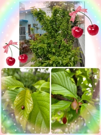 3月に入りました❀♬,゜.:。+゜ 2021/03/02 16:08:06